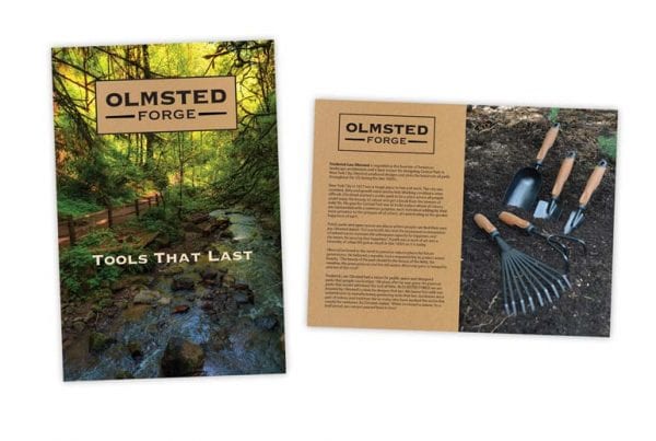emediacy-projects-olmsted-branding