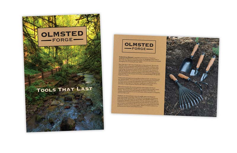 emediacy-projects-olmsted-branding