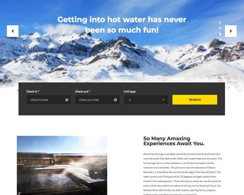 alvord hot springs website